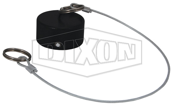 Dry Disconnect Dust Cap
